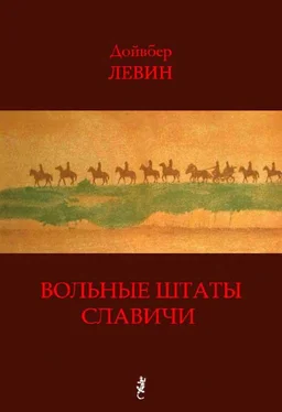 Дойвбер Левин Вольные штаты Славичи: Избранная проза обложка книги