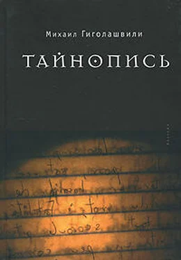 Михаил Гиголашвили Тайнопись обложка книги
