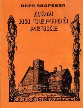 Вера Андреева Дом на Черной речке обложка книги