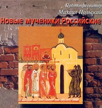 протопресвитер Михаил Польский Новые мученики российские обложка книги