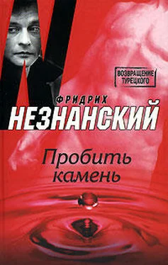 Фридрих Незнанский Пробить камень обложка книги