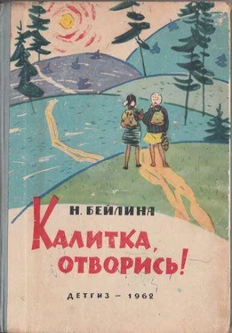 Нинель Бейлина Калитка, отворись! обложка книги