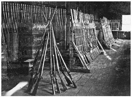 Muzzleloading Springfield and Britishmade Enfield muskets were the dominant - фото 12