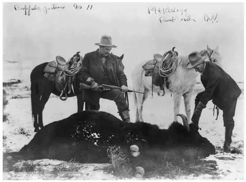 A buffalo hunter and his Winchester Model 1895 Library of Congress By 1875 - фото 39