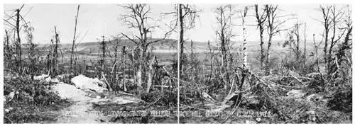 The site of the Marines greatest victory during World War I Library of - фото 52