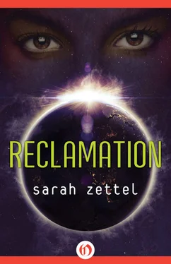 Sarah Zettel Reclamation обложка книги