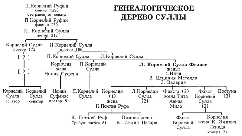 Сулла - фото 7