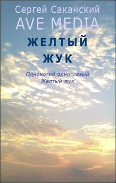 Сергей Саканский Желтый жук обложка книги