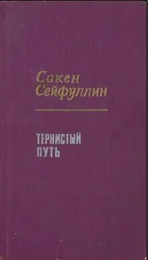 Сакен Сейфуллин Тернистый путь обложка книги