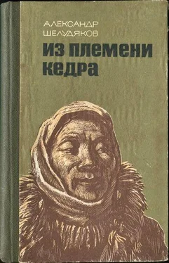 Александр Шелудяков ИЗ ПЛЕМЕНИ КЕДРА обложка книги