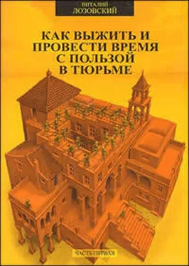 Виталий Лозовский Как выжить и провести время с пользой в тюрьме обложка книги