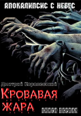 Дмитрий Королевский Кровавая жара обложка книги