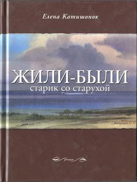 Елена Катишонок Жили-были старик со старухой обложка книги