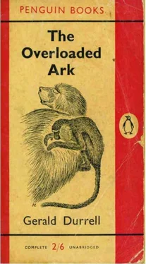 Gerald Durrell The Overloaded Ark обложка книги