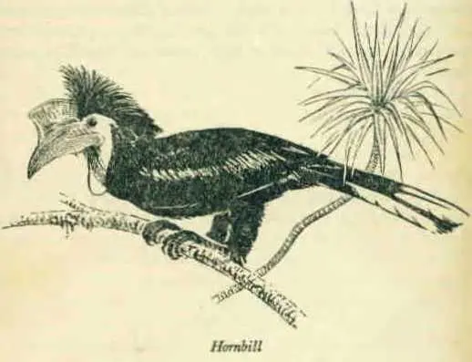 Suddenly there was a great harsh swishing of wind and a series of wild honking - фото 22