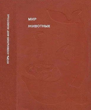 Игорь Акимушкин Мир животных. Рассказы о змеях, крокодилах, черепахах, лягушках, рыбах. обложка книги