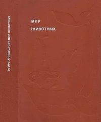 Игорь Акимушкин - Мир животных. Рассказы о змеях, крокодилах, черепахах, лягушках, рыбах.