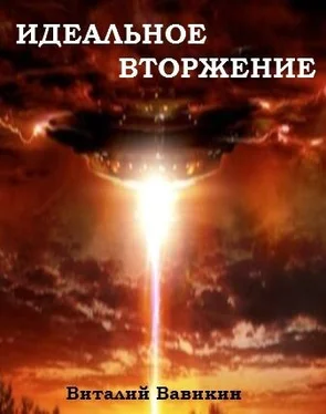 Виталий Вавикин Идеальное вторжение обложка книги