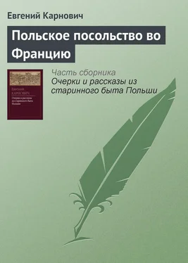 Евгений Карнович Польское посольство во Францию обложка книги