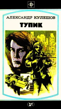 Александр Кулешов Тупик обложка книги