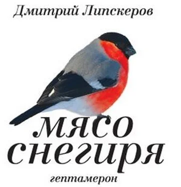 Дмитрий Липскеров Мясо снегиря (гептамерон) обложка книги