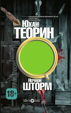 Юхан Теорин Ночной шторм обложка книги