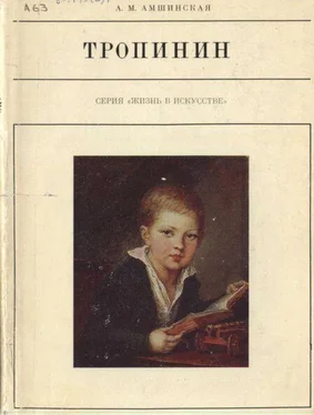 Александра Амшинская Тропинин обложка книги