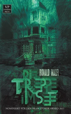 Ronald Malfi Die Treppe im See обложка книги