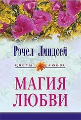 Рэчел Линдсей - Магия любви