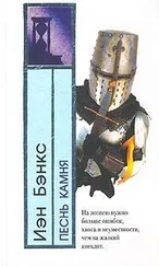 Иэн Бэнкс - Песнь камня