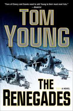 Tom Young The Renegades обложка книги