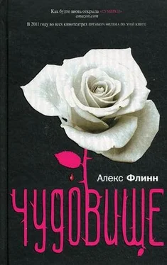 Алекс Флинн Чудовище обложка книги