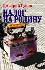 Дмитрий Губин - Налог на Родину. Очерки тучных времен