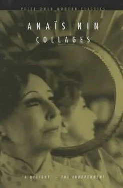 Anaïs Nin Collages обложка книги