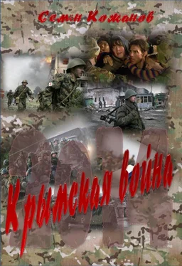 Семён Кожинов Крымская война 2014 обложка книги