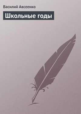 Василий Авсеенко Школьные годы обложка книги