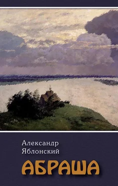 Александр Яблонский Абраша обложка книги