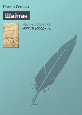 Роман Сенчин Шайтан обложка книги