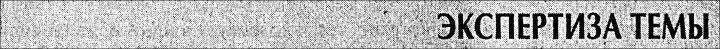 ЭКСПЕРТИЗА ТЕМЫ - фото 25