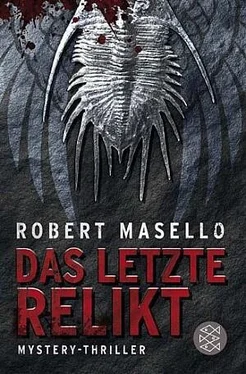 Robert Masello Das letzte Relikt обложка книги