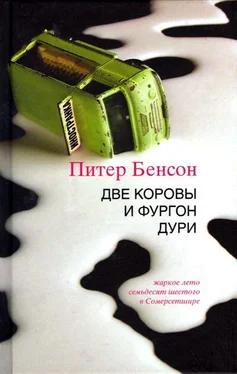 Питер Бенсон Две коровы и фургон дури обложка книги