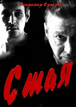 Владимир Сухарев Стая обложка книги