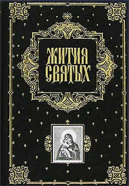 Димитрий Ростовский Жития Святых (все месяцы) обложка книги