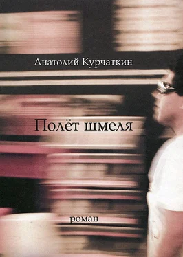 Анатолий Курчаткин Полёт шмеля обложка книги