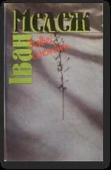 Іван Мележ - Завеі, снежань