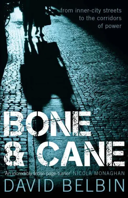 Bone Cane - фото 2