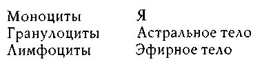 В крови живет цельный человек кровь это Яорганизм в человеческом организме - фото 18