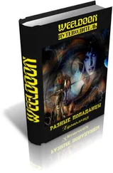 Weeldoon - Разные попаданцы. Хронология