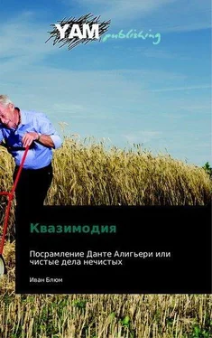 Олег Северюхин Квазимодия обложка книги