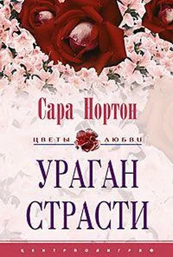 Сара Нортон Ураган страсти обложка книги